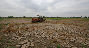 Fifteen Years On: Muzaffargarh’s Farmlands Still Unfit for Crops After…